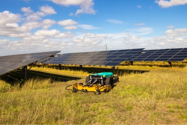Vegetation management